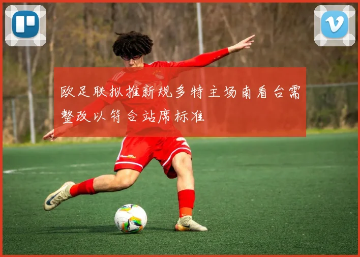 欧足联拟推新规多特主场南看台需整改以符合站席标准