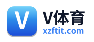 V体育